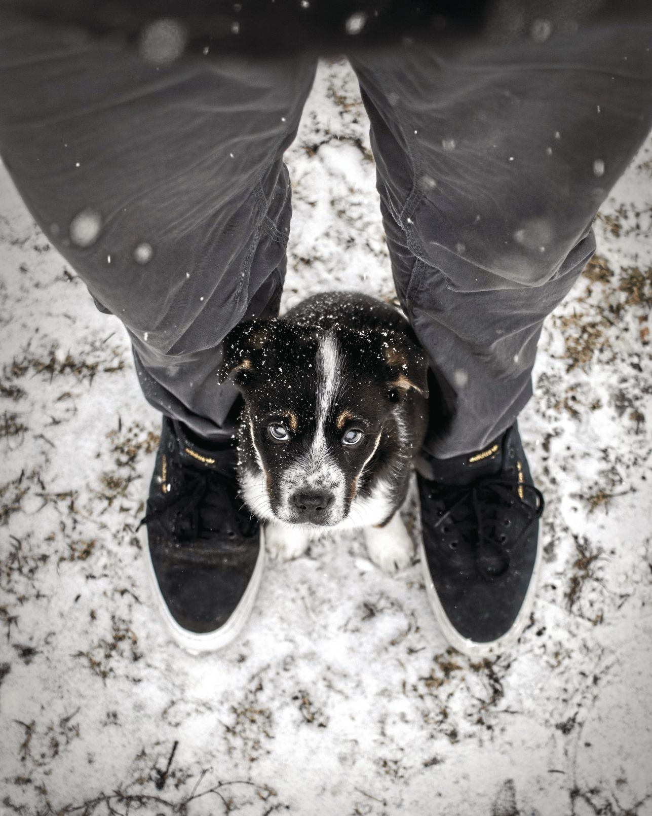 _daniel-lincoln-w9-Jt0OIPwY-unsplash_CMYK.jpg